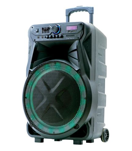 Professional Speaker EK-2919A - rechargeable